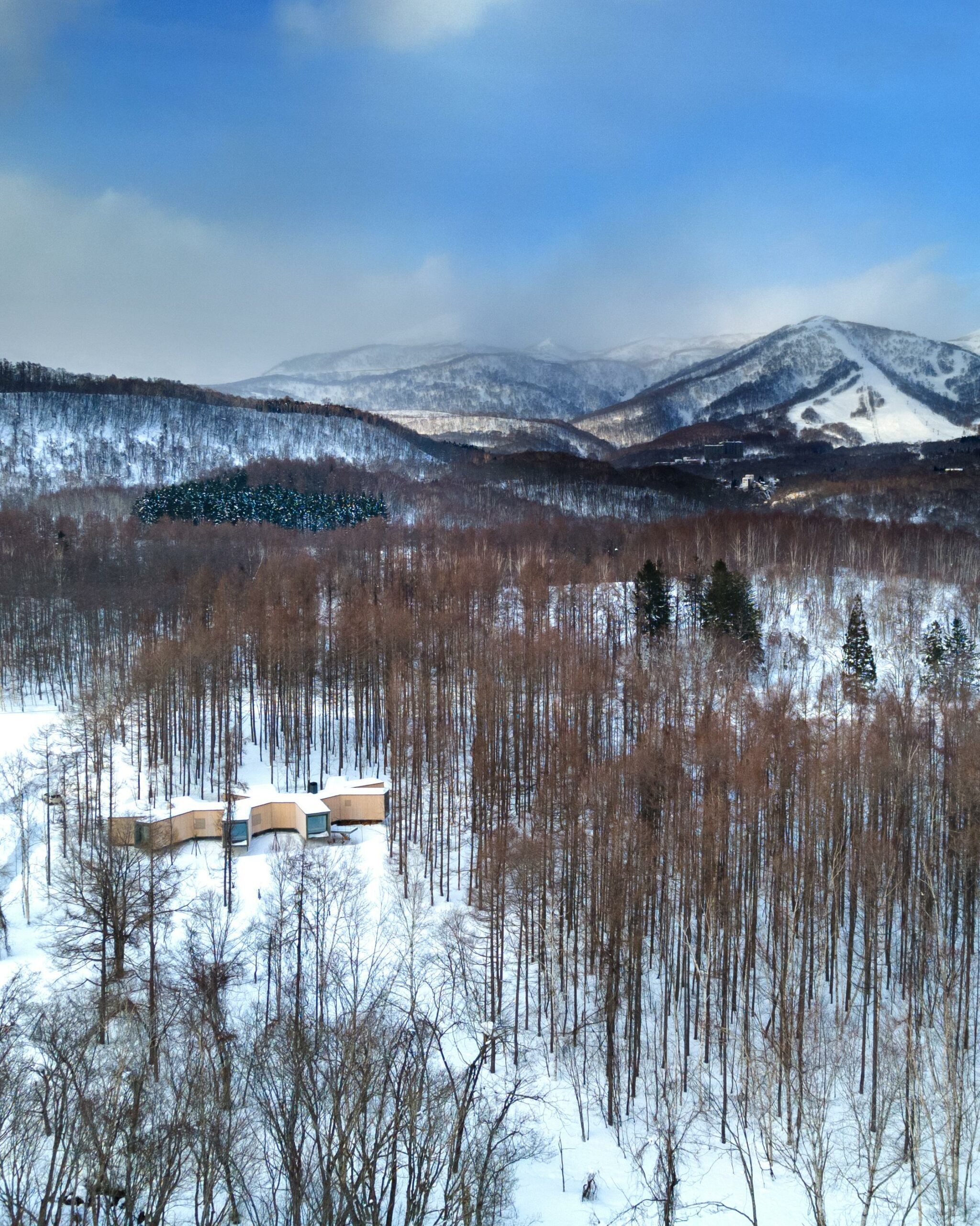 House in the Forest - une maison en forme de branche dans la forêt House in the Forest une maison en forme de branche dans la foret 5 scaled House-in-the-Forest-une-maison-en-forme-de-branche-dans-la-foret-5