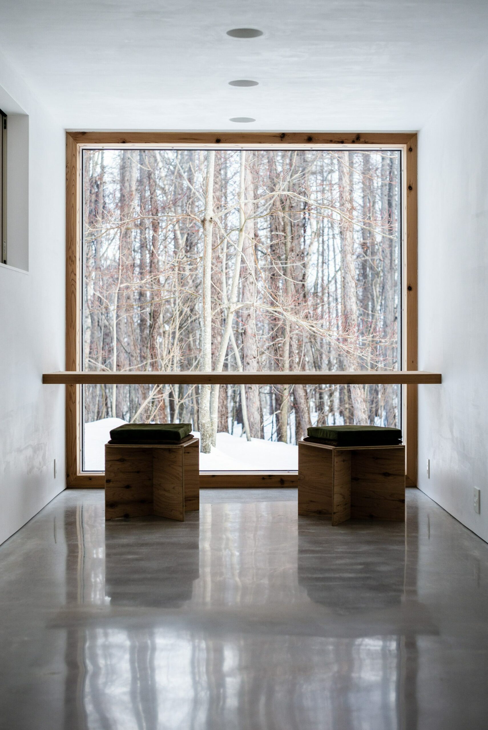 House in the Forest - une maison en forme de branche dans la forêt House in the Forest une maison en forme de branche dans la foret 6 scaled House-in-the-Forest-une-maison-en-forme-de-branche-dans-la-foret-6