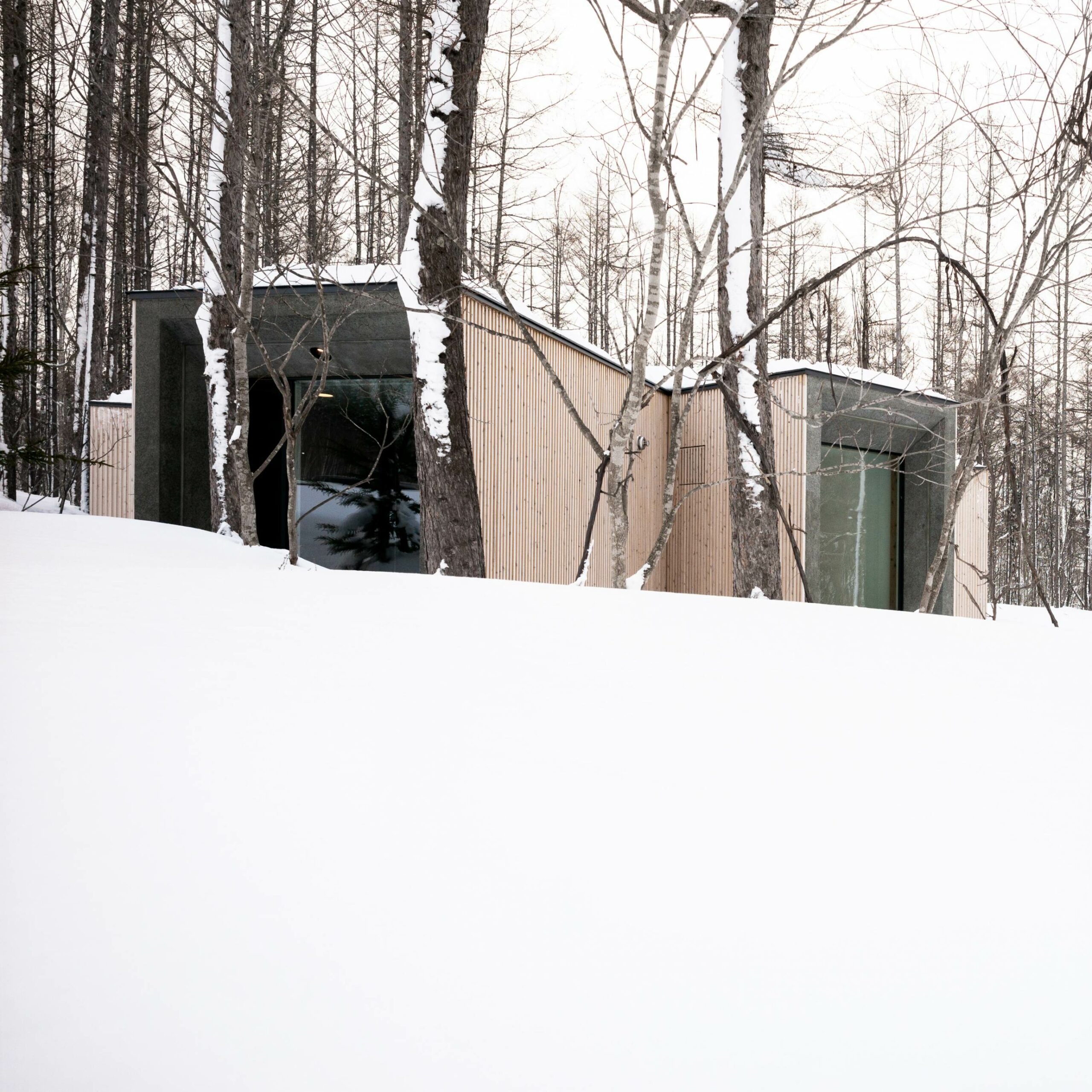 House in the Forest - une maison en forme de branche dans la forêt House in the Forest une maison en forme de branche dans la foret 8 scaled House-in-the-Forest-une-maison-en-forme-de-branche-dans-la-foret-8
