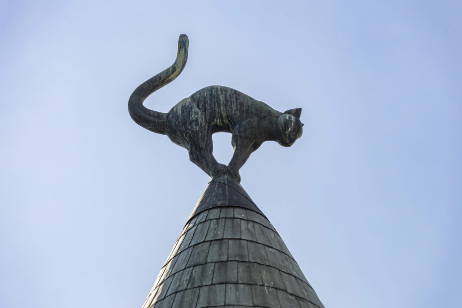 La legende des chats noirs sur le toit de Riga 10