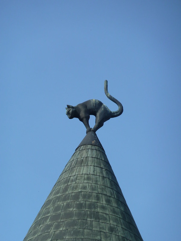 La légende des chats noirs sur le toit de Riga La legende des chats noirs sur le toit de Riga 5 La-legende-des-chats-noirs-sur-le-toit-de-Riga-5