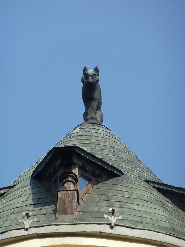 La légende des chats noirs sur le toit de Riga La legende des chats noirs sur le toit de Riga 6 La-legende-des-chats-noirs-sur-le-toit-de-Riga-6