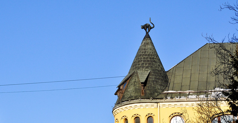 La légende des chats noirs sur le toit de Riga La legende des chats noirs sur le toit de Riga 8 La-legende-des-chats-noirs-sur-le-toit-de-Riga-8