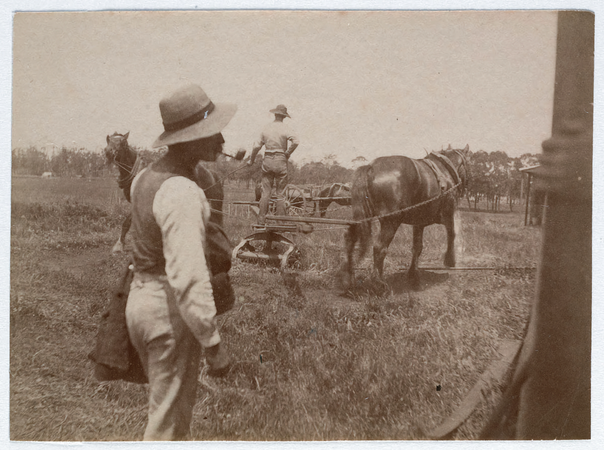 Les rues de Sydney fin du 19ème siècle par Arthur K Syer Les rues de Sydney fin du 19eme siecle par Arthur K Syer 23 Les-rues-de-Sydney-fin-du-19eme-siecle-par-Arthur-K-Syer-23