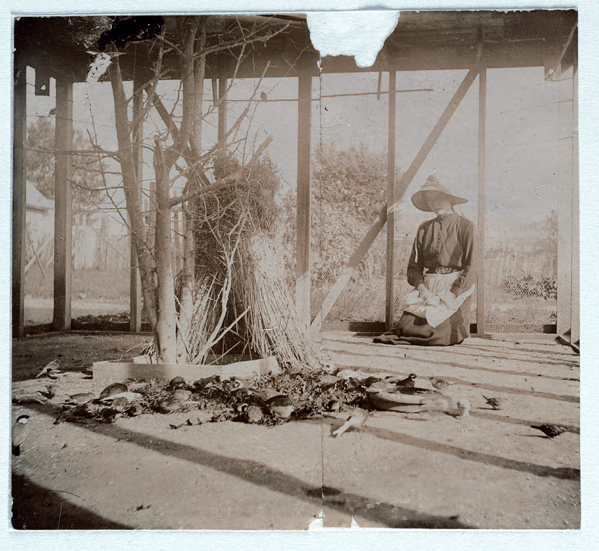 Les rues de Sydney fin du 19ème siècle par Arthur K Syer Les rues de Sydney fin du 19eme siecle par Arthur K Syer 25 Les-rues-de-Sydney-fin-du-19eme-siecle-par-Arthur-K-Syer-25
