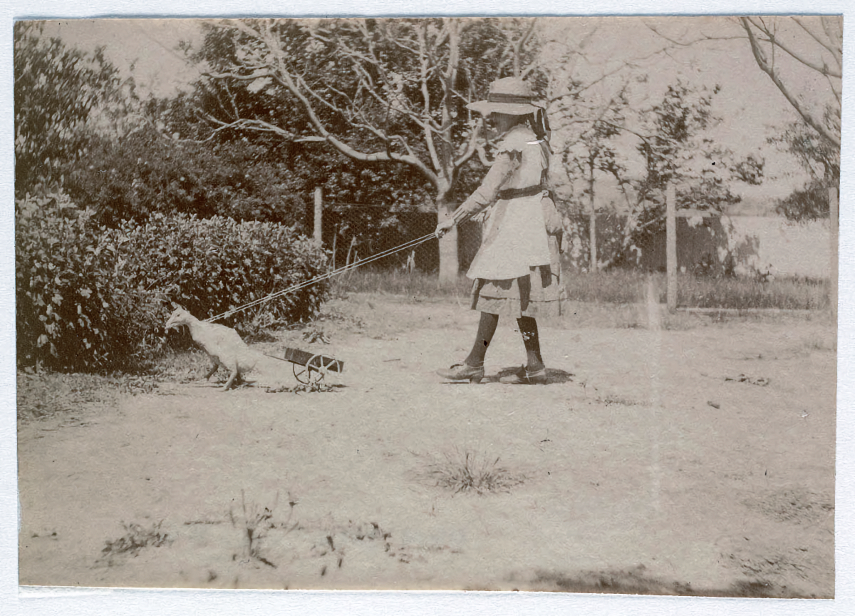 Les rues de Sydney fin du 19ème siècle par Arthur K Syer Les rues de Sydney fin du 19eme siecle par Arthur K Syer 9 Les-rues-de-Sydney-fin-du-19eme-siecle-par-Arthur-K-Syer-9