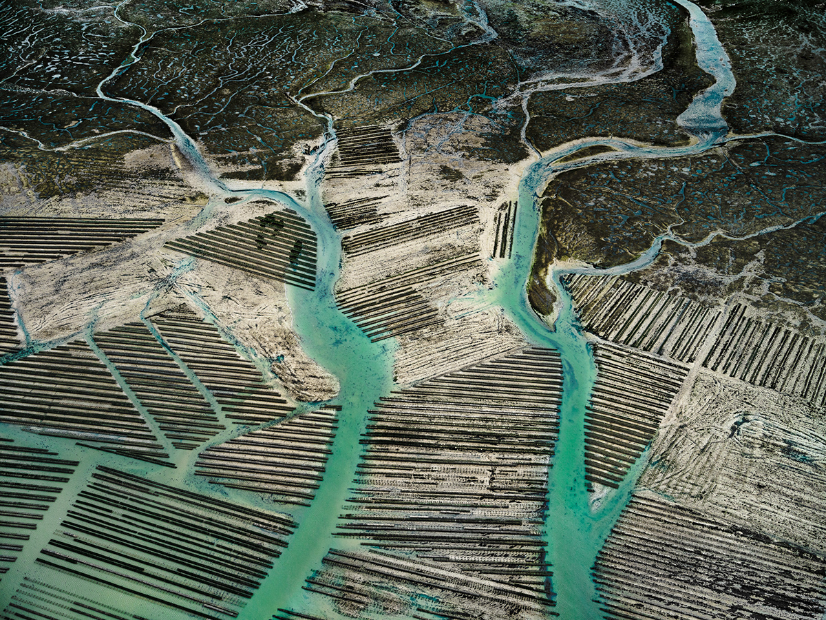 Ostreiculture : les parcs à huitres vus du ciel par Tom Hegen Ostreiculture les parcs a huitres vus du ciel par Tom Hegen 12 Ostreiculture-les-parcs-a-huitres-vus-du-ciel-par-Tom-Hegen-12