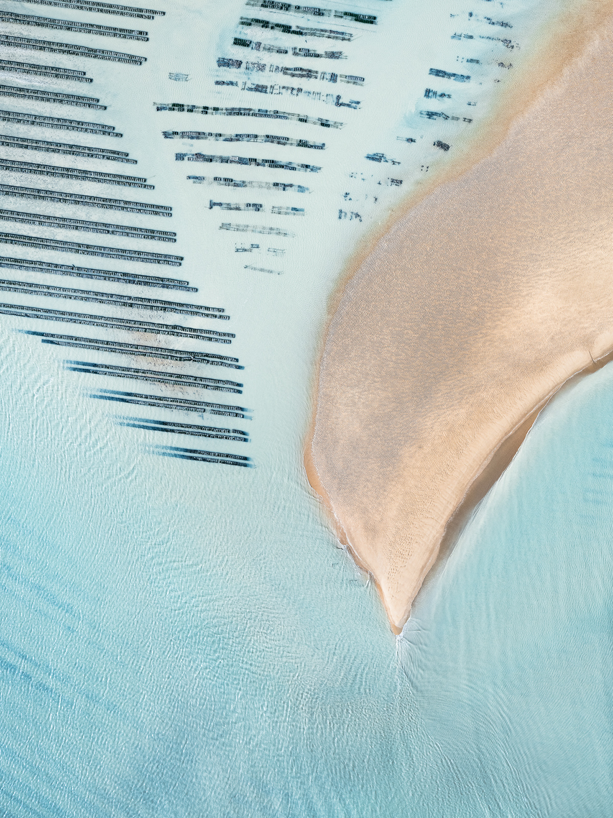 Ostreiculture : les parcs à huitres vus du ciel par Tom Hegen Ostreiculture les parcs a huitres vus du ciel par Tom Hegen 14 Ostreiculture-les-parcs-a-huitres-vus-du-ciel-par-Tom-Hegen-14