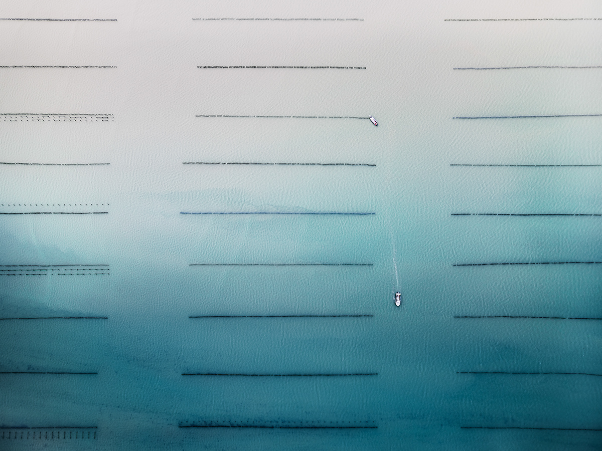 Ostreiculture : les parcs à huitres vus du ciel par Tom Hegen Ostreiculture les parcs a huitres vus du ciel par Tom Hegen 5 Ostreiculture-les-parcs-a-huitres-vus-du-ciel-par-Tom-Hegen-5