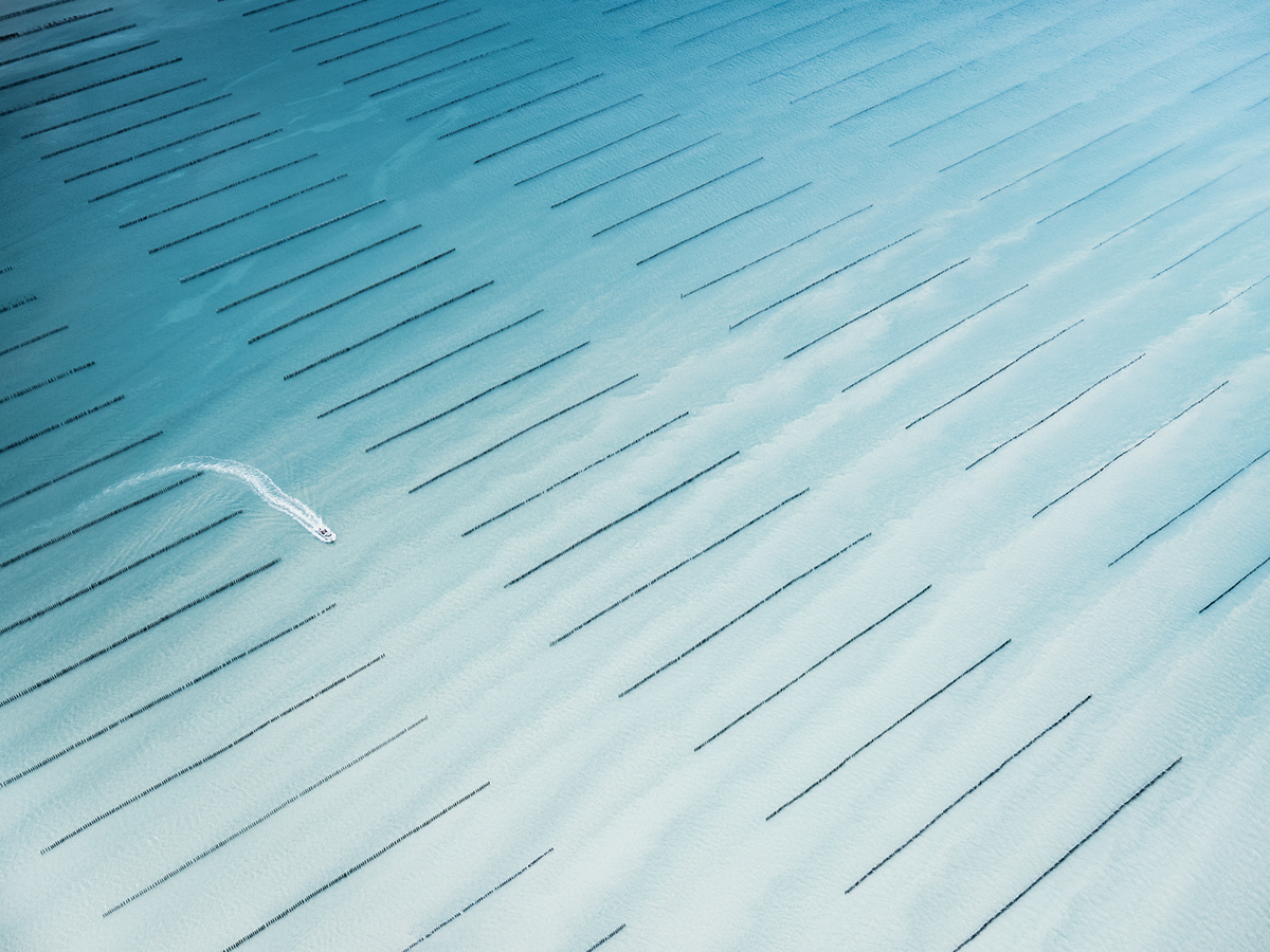 Ostreiculture : les parcs à huitres vus du ciel par Tom Hegen Ostreiculture les parcs a huitres vus du ciel par Tom Hegen 6 Ostreiculture-les-parcs-a-huitres-vus-du-ciel-par-Tom-Hegen-6