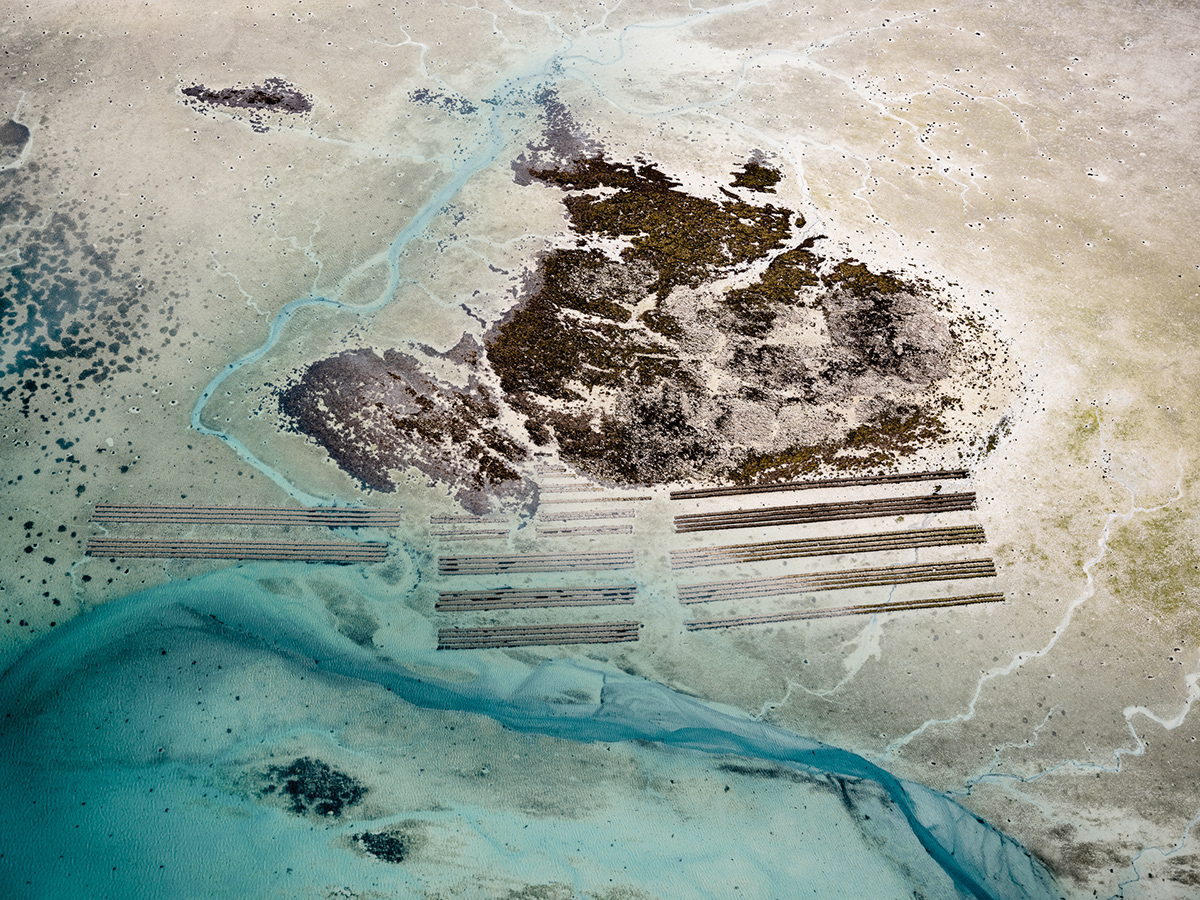 Ostreiculture : les parcs à huitres vus du ciel par Tom Hegen Ostreiculture les parcs a huitres vus du ciel par Tom Hegen 7 Ostreiculture-les-parcs-a-huitres-vus-du-ciel-par-Tom-Hegen-7