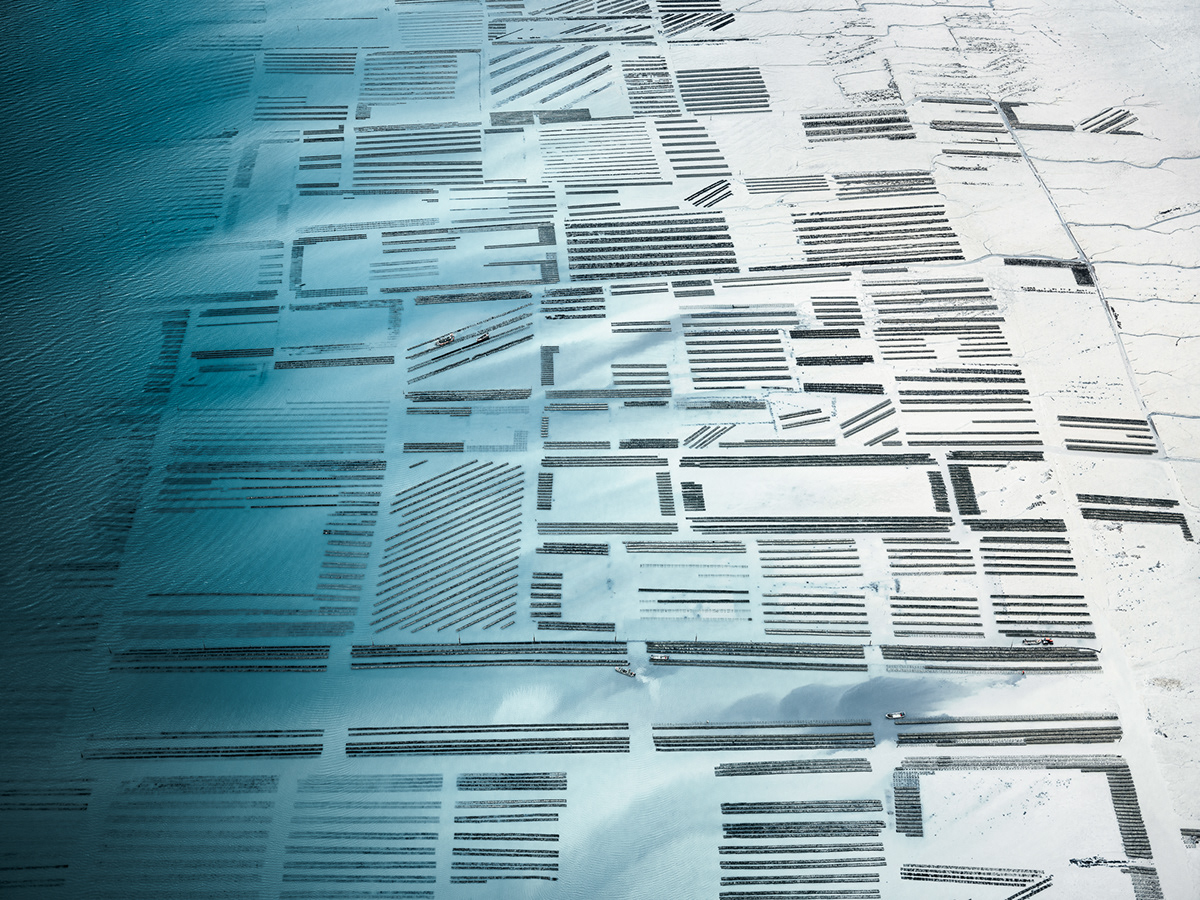 Ostreiculture : les parcs à huitres vus du ciel par Tom Hegen Ostreiculture les parcs a huitres vus du ciel par Tom Hegen 8 Ostreiculture-les-parcs-a-huitres-vus-du-ciel-par-Tom-Hegen-8