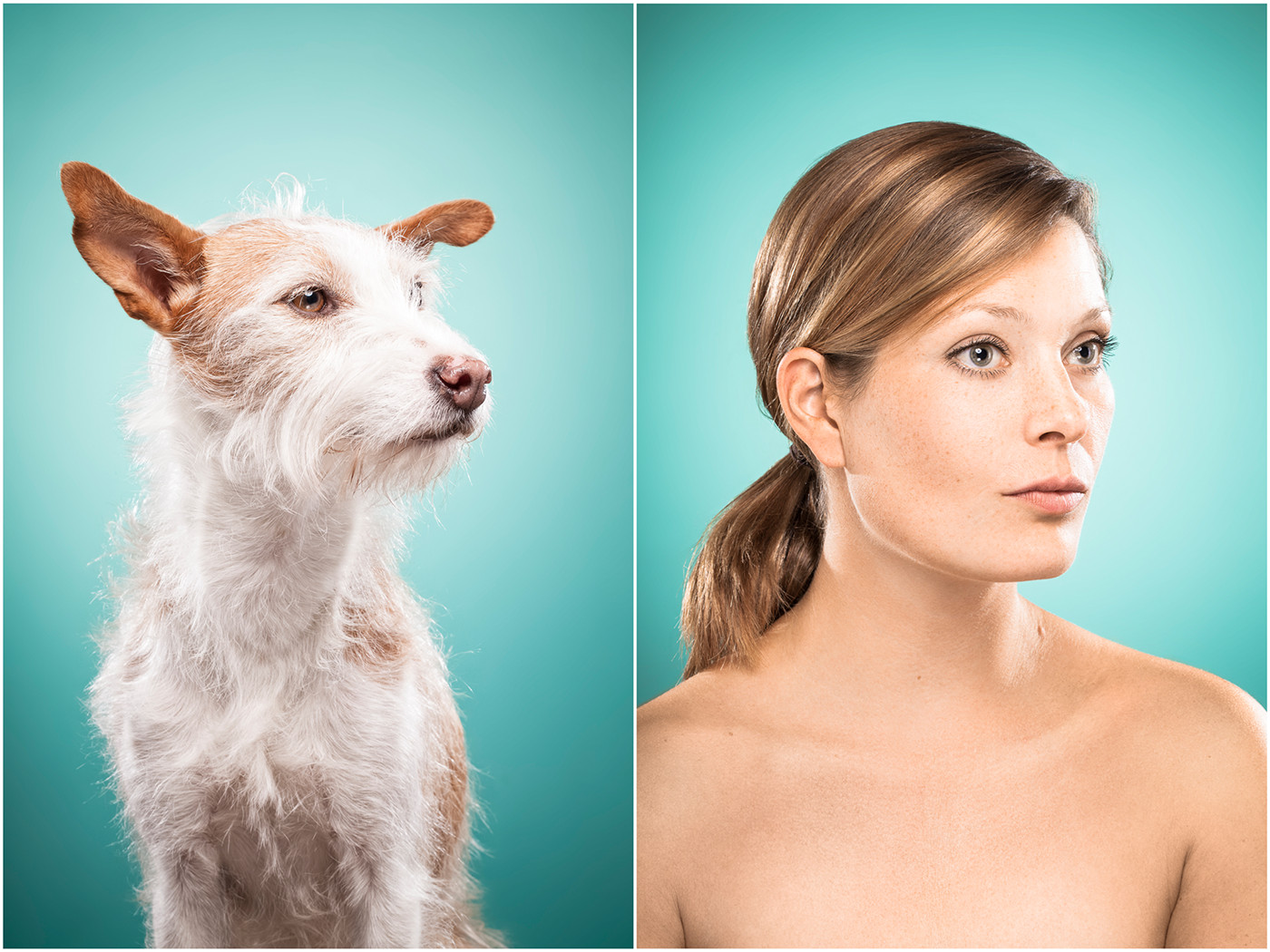 The Dog People - des expressions de chiens comme des humains The Dog People des expressions de chiens comme des humains 11 The-Dog-People-des-expressions-de-chiens-comme-des-humains-11