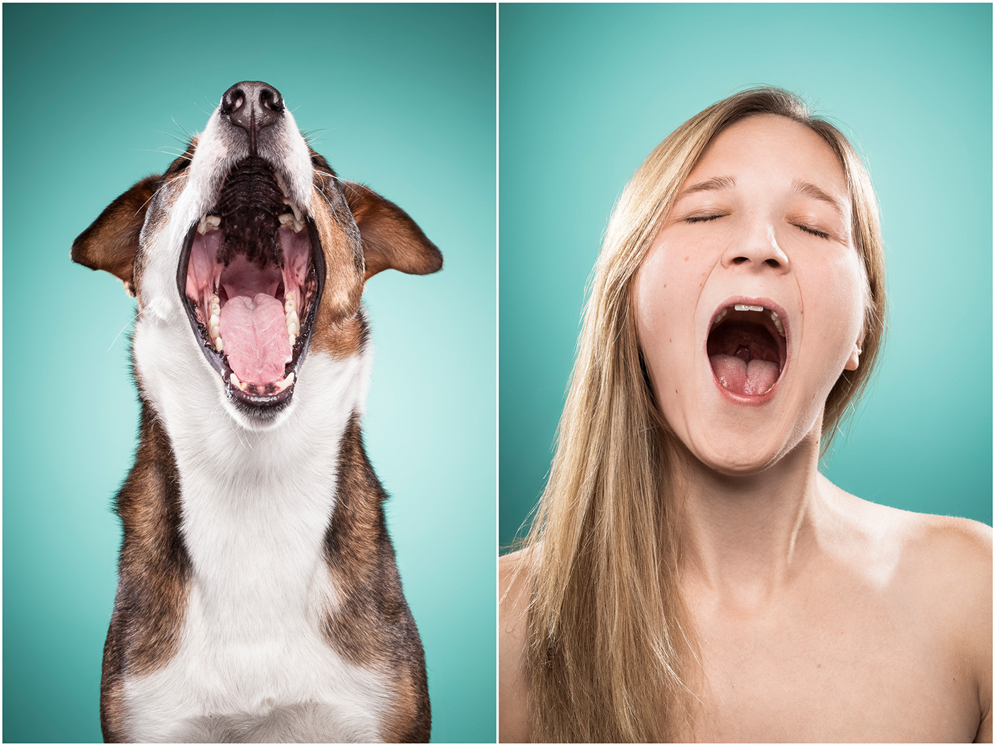 The Dog People - des expressions de chiens comme des humains The Dog People des expressions de chiens comme des humains 15 The-Dog-People-des-expressions-de-chiens-comme-des-humains-15