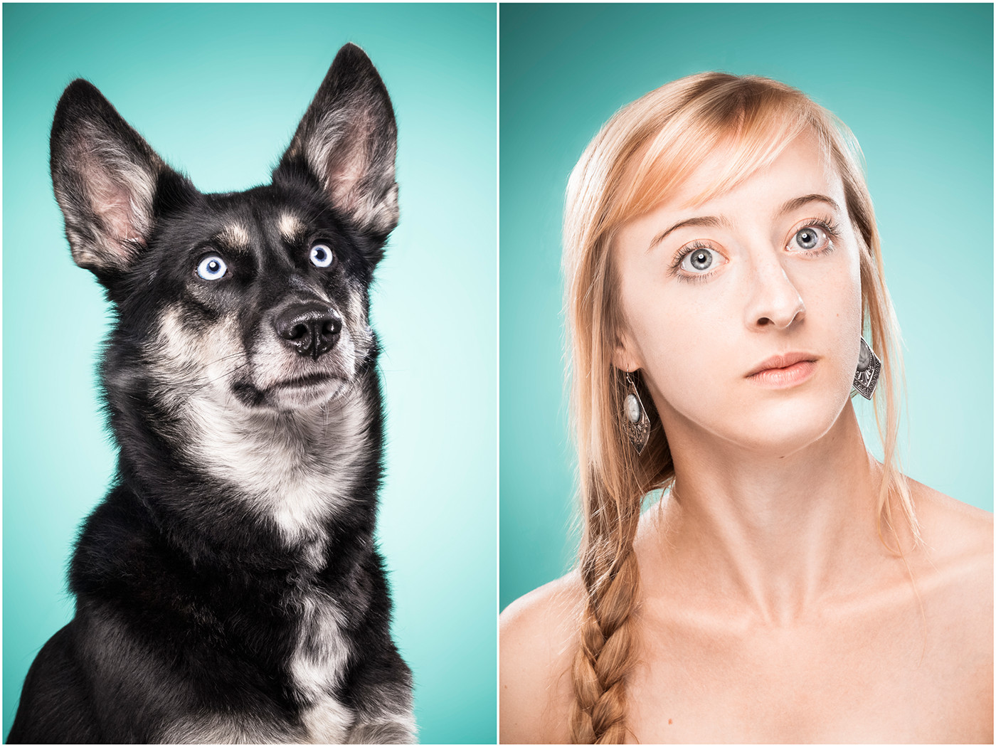 The Dog People - des expressions de chiens comme des humains The Dog People des expressions de chiens comme des humains 20 The-Dog-People-des-expressions-de-chiens-comme-des-humains-20