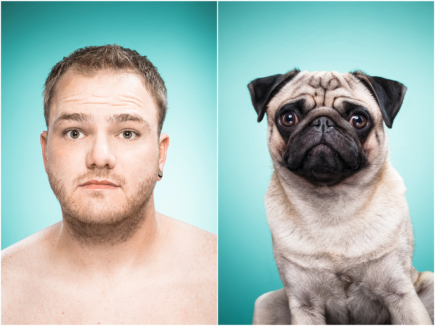 The Dog People - des expressions de chiens comme des humains The Dog People des expressions de chiens comme des humains 21 The-Dog-People-des-expressions-de-chiens-comme-des-humains-21