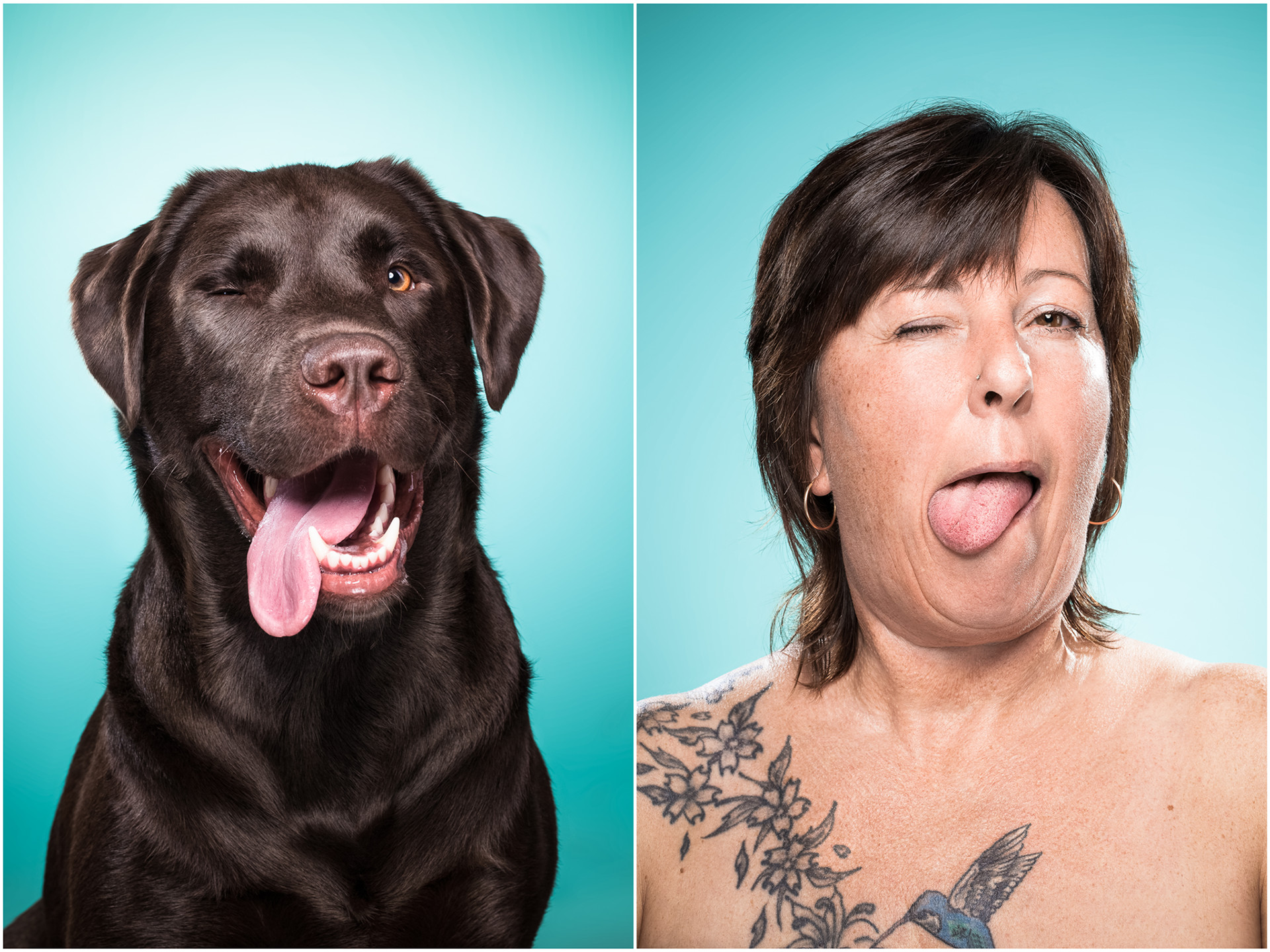 The Dog People - des expressions de chiens comme des humains The Dog People des expressions de chiens comme des humains 22 The-Dog-People-des-expressions-de-chiens-comme-des-humains-22