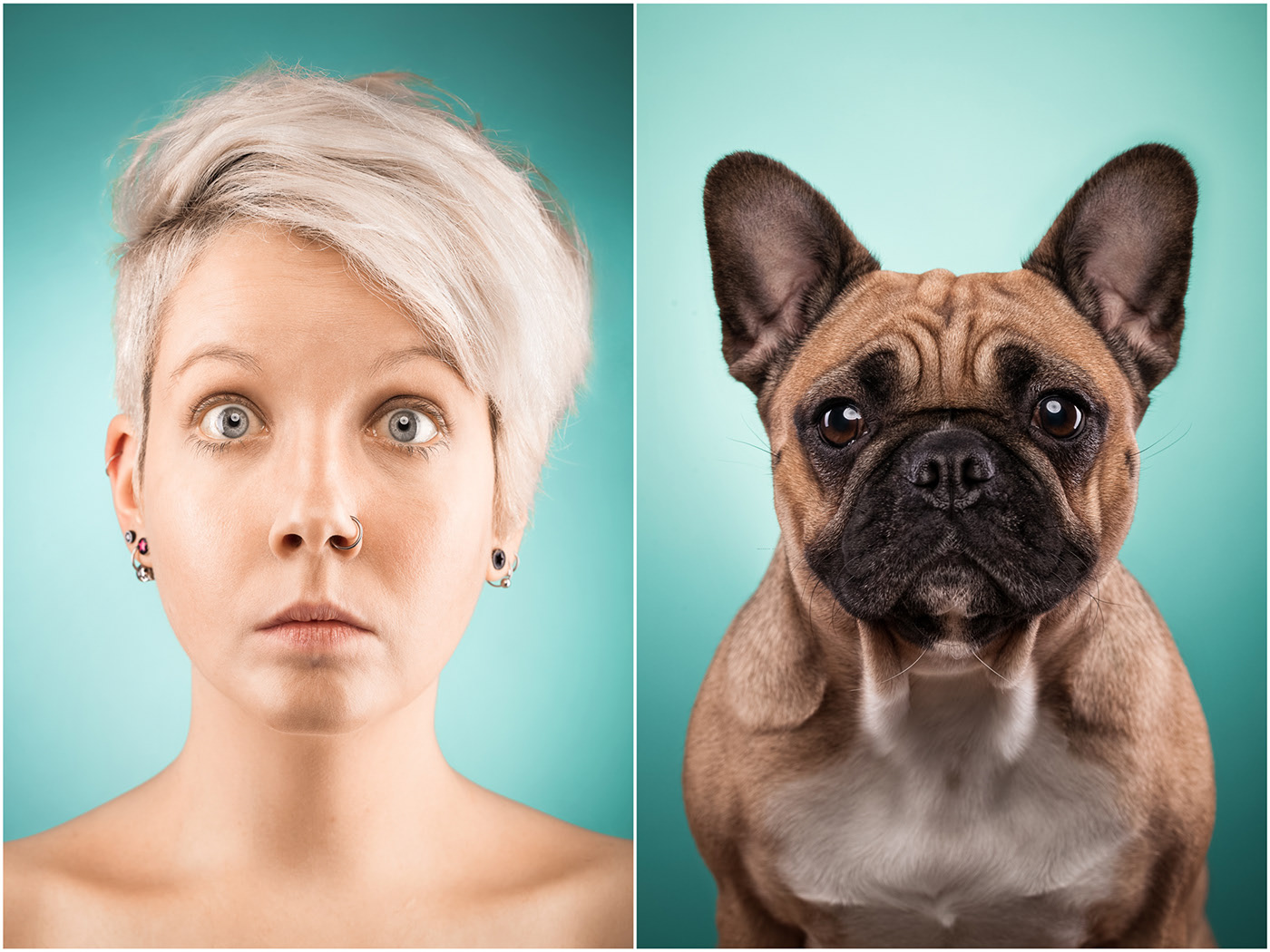 The Dog People - des expressions de chiens comme des humains The Dog People des expressions de chiens comme des humains 5 The-Dog-People-des-expressions-de-chiens-comme-des-humains-5