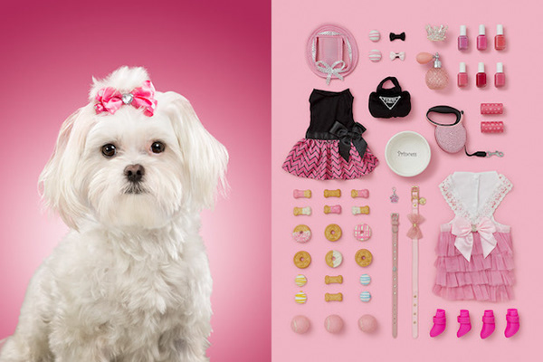 A dog life - une vie de chien par Alicia Rius A dog life une vie de chien par Alicia Rius 3 princesse A-dog-life-une-vie-de-chien-par-Alicia-Rius-3-princesse