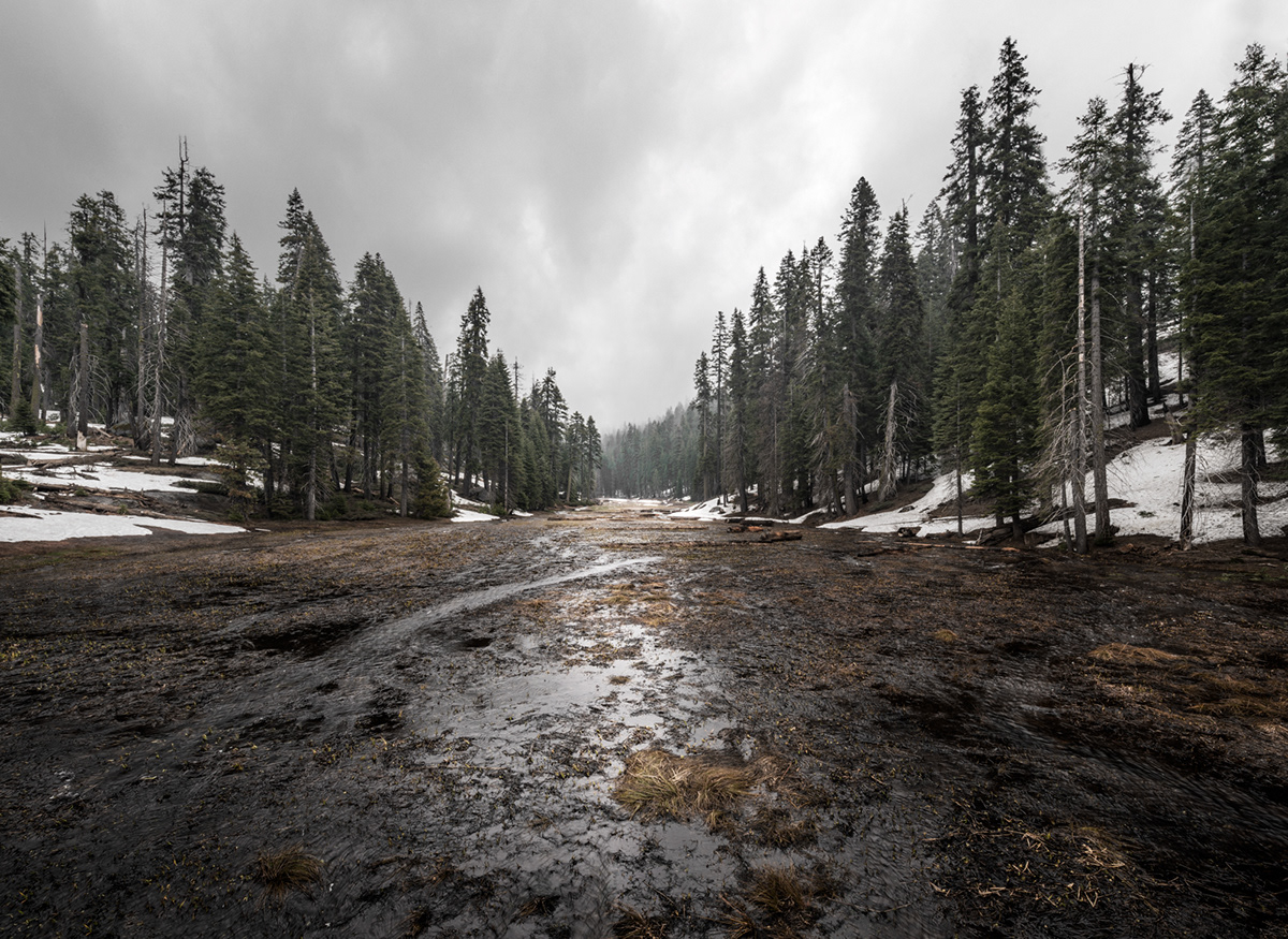 Natu.rae XIII, XIV et XV – de nouvelles magnifiques photos de nature par Gustav Willeit Natu rae XIII XIV et XV–de nouvelles magnifiques photos de nature par Gustav Willeit 15 Natu-rae-XIII-XIV-et-XV–de-nouvelles-magnifiques-photos-de-nature-par-Gustav-Willeit-15