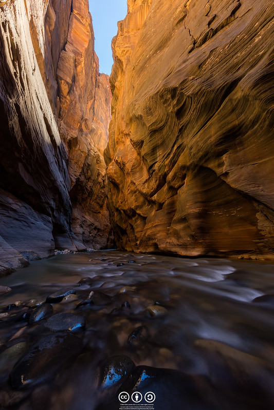 The Narrows - étroit canyon du Zion National Park The Narrows etroit canyon du Zion National Park 13 The-Narrows-etroit-canyon-du-Zion-National-Park-13