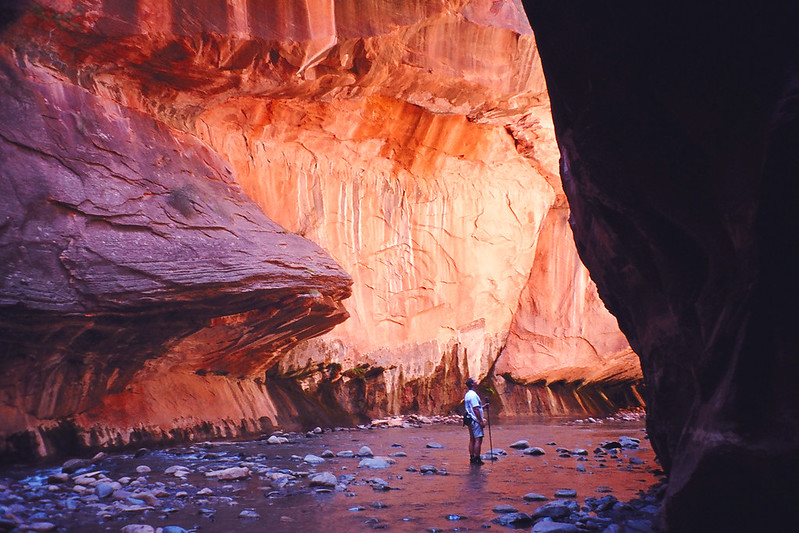 The Narrows - étroit canyon du Zion National Park The Narrows etroit canyon du Zion National Park 5 The-Narrows-etroit-canyon-du-Zion-National-Park-5