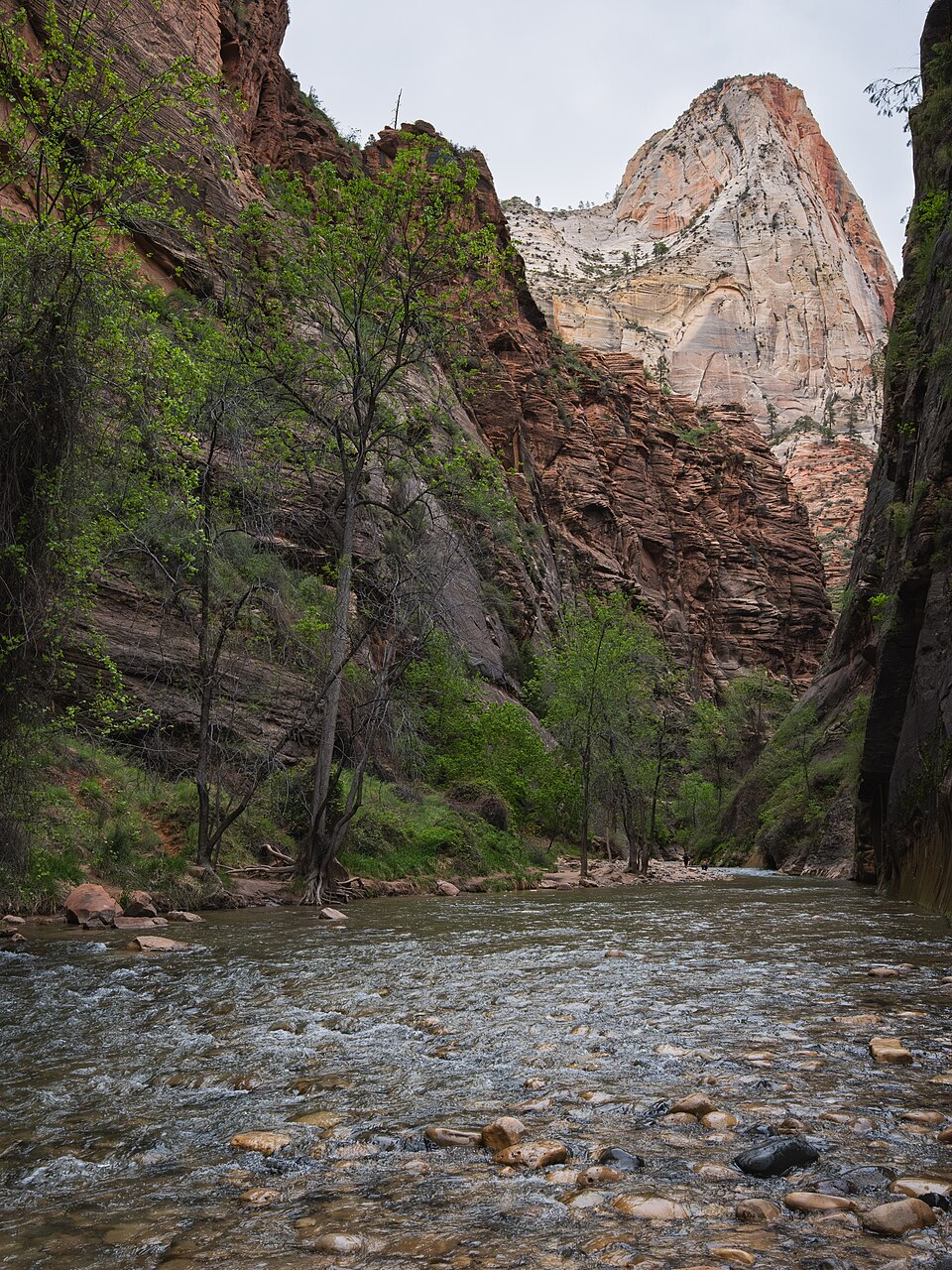 Virgin River à l'entrée de The Narrows dans Zion National Park Virgin River à l'entrée de The Narrows dans Zion National Park