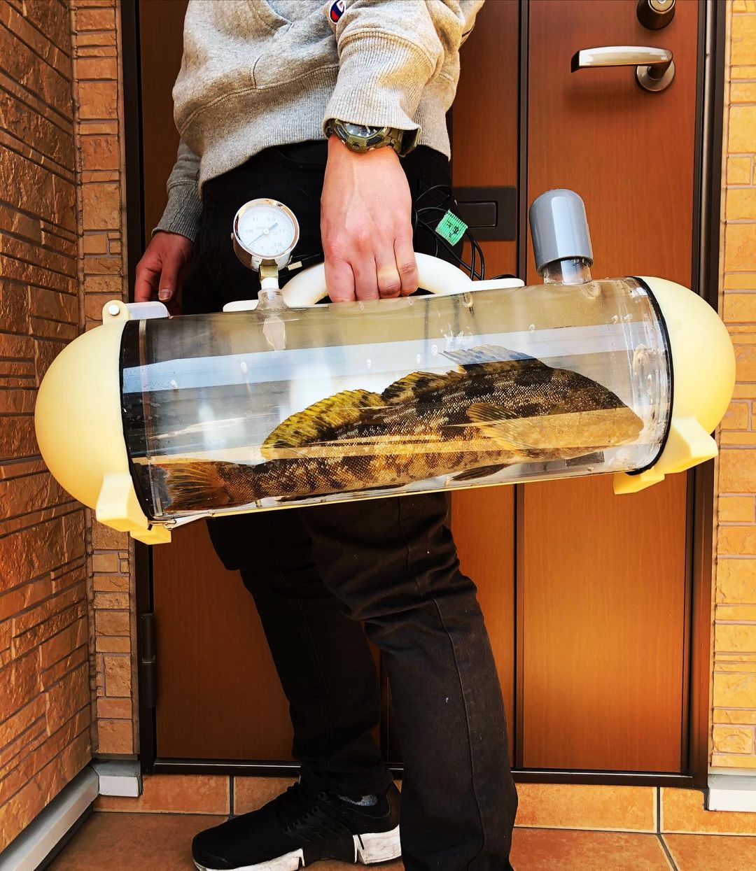 katsugyo bag - le sac aquarium portable pour promener son poisson katsugyo bag le sac aquarium portable pour promener son poisson 3 katsugyo-bag-le-sac-aquarium-portable-pour-promener-son-poisson-3