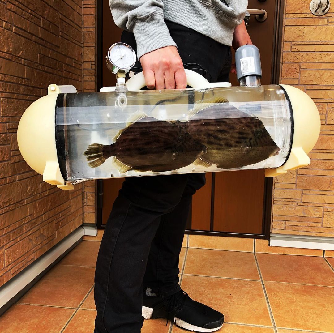 katsugyo bag - le sac aquarium portable pour promener son poisson katsugyo bag le sac aquarium portable pour promener son poisson 4 katsugyo-bag-le-sac-aquarium-portable-pour-promener-son-poisson-4