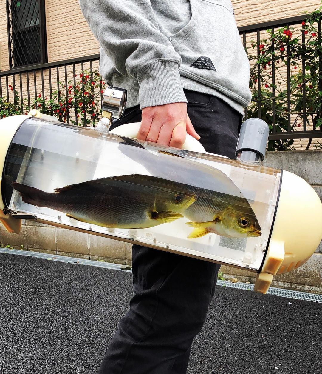 katsugyo bag - le sac aquarium portable pour promener son poisson katsugyo bag le sac aquarium portable pour promener son poisson 6 katsugyo-bag-le-sac-aquarium-portable-pour-promener-son-poisson-6