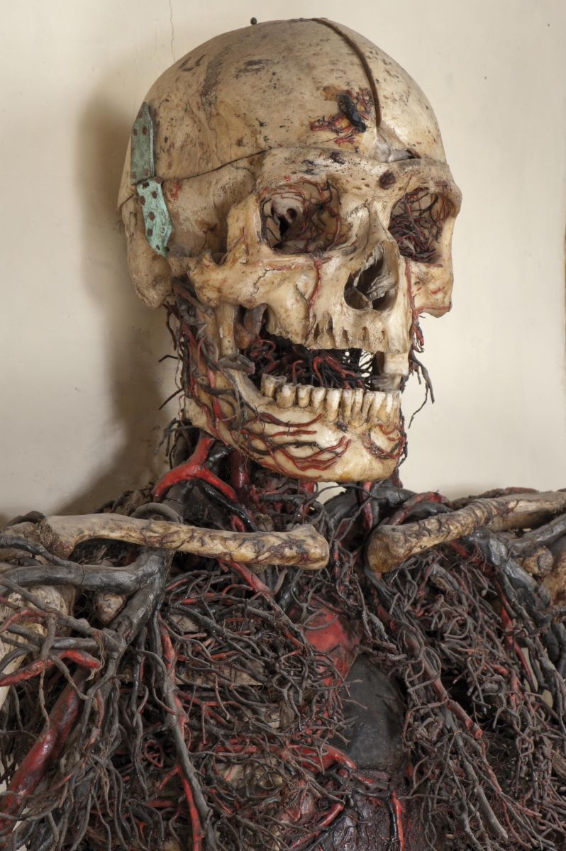 Les machines anatomiques de la chapelle Sansevero à Naples Les machines anatomiques de la chapelle Sansevero a Naples 3 Les-machines-anatomiques-de-la-chapelle-Sansevero-a-Naples-3