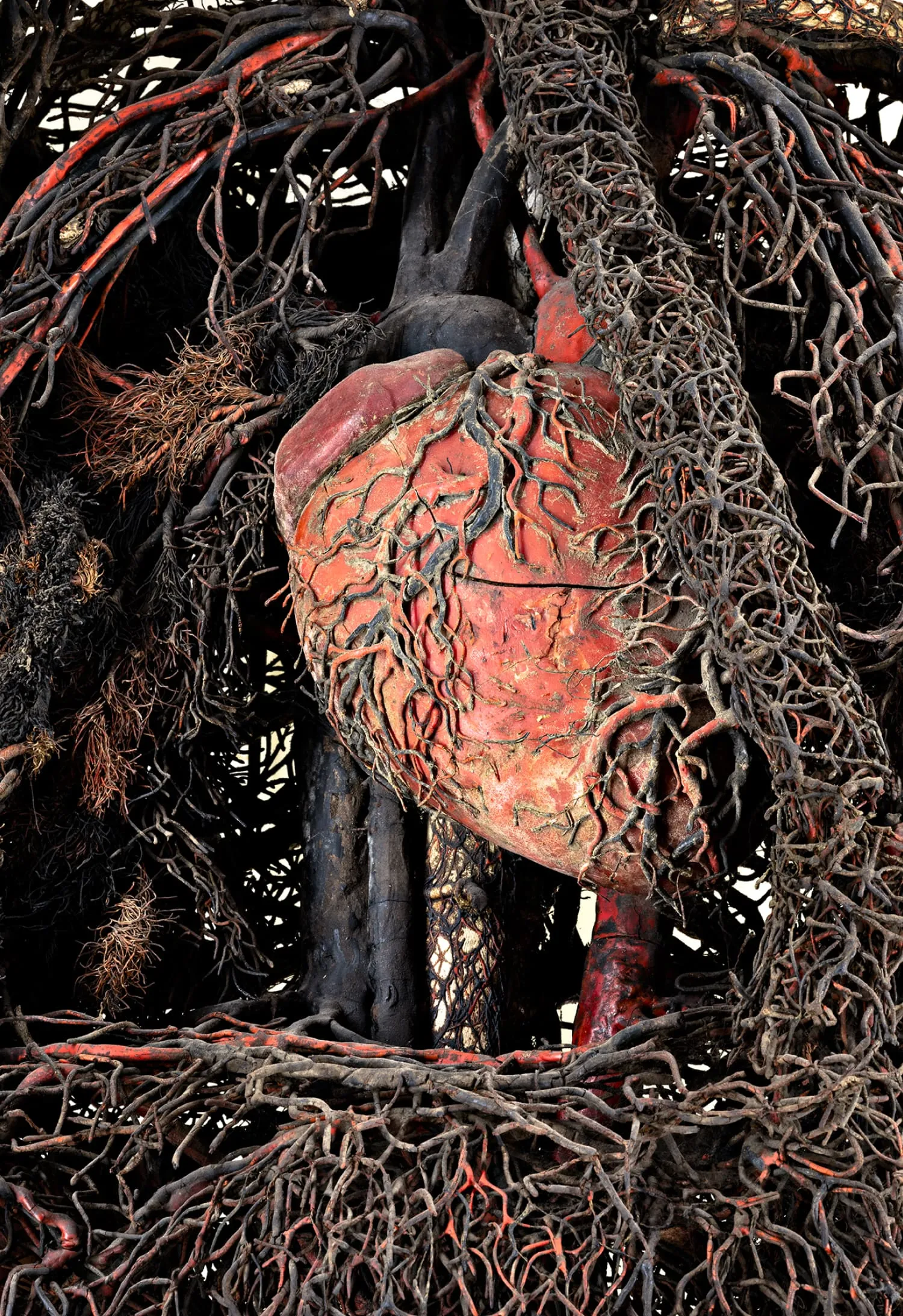 Les machines anatomiques de la chapelle Sansevero à Naples Les machines anatomiques de la chapelle Sansevero a Naples 6 Les-machines-anatomiques-de-la-chapelle-Sansevero-a-Naples-6