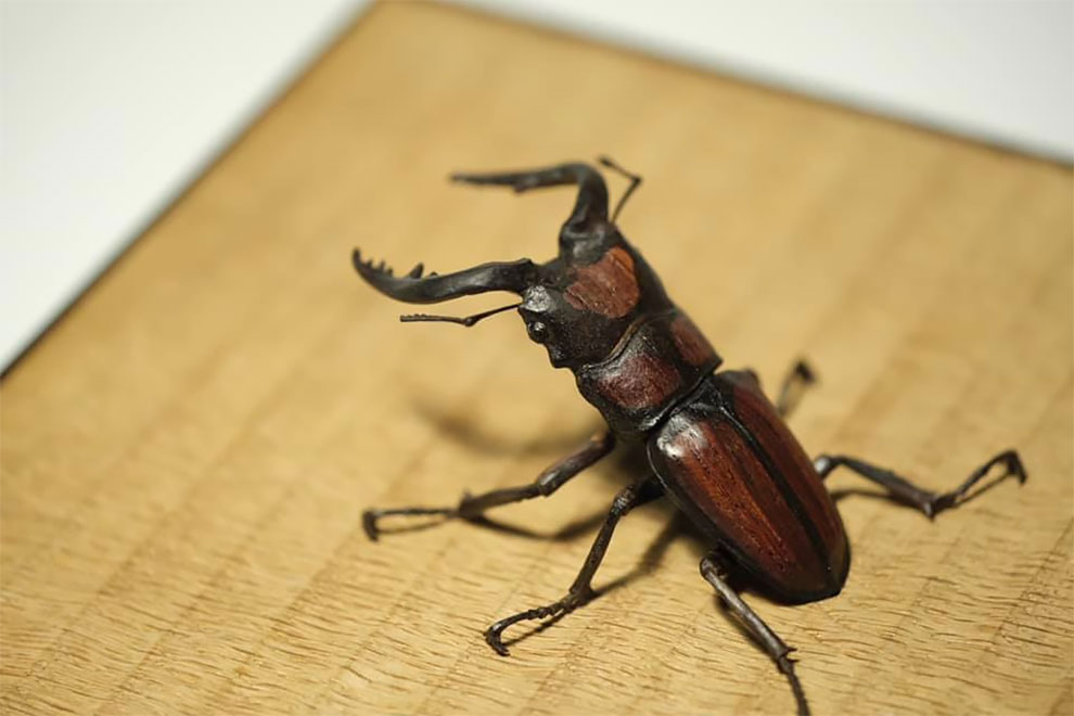 Les stupéfiantes sculptures de bois de Toru Fukuda Les stupefiantes sculptures de bois de Toru Fukuda 10 Les-stupefiantes-sculptures-de-bois-de-Toru-Fukuda-10