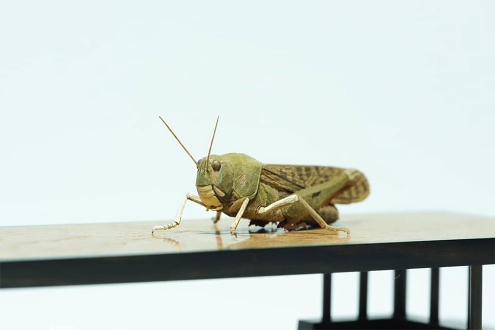 Les stupéfiantes sculptures de bois de Toru Fukuda Les stupefiantes sculptures de bois de Toru Fukuda 14 Les-stupefiantes-sculptures-de-bois-de-Toru-Fukuda-14