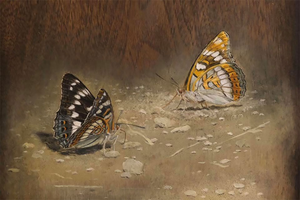 Les stupéfiantes sculptures de bois de Toru Fukuda Les stupefiantes sculptures de bois de Toru Fukuda 5 Les-stupefiantes-sculptures-de-bois-de-Toru-Fukuda-5