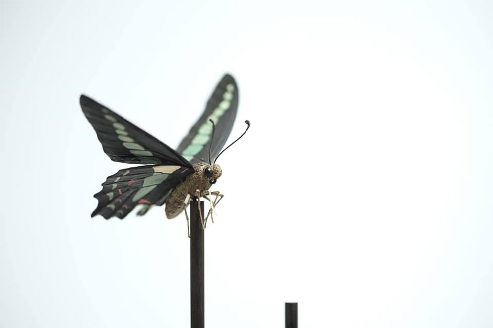 Les stupéfiantes sculptures de bois de Toru Fukuda Les stupefiantes sculptures de bois de Toru Fukuda 9 Les-stupefiantes-sculptures-de-bois-de-Toru-Fukuda-9