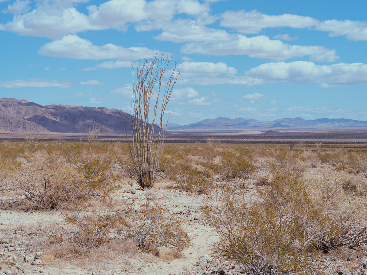 Two Deserts - à la frontière du désert Mojave et du désert du Colorado par Zac Henderson Two Deserts a la frontiere du desert Mojave et du desert du Colorado par Zac Henderson 4 Two-Deserts-a-la-frontiere-du-desert-Mojave-et-du-desert-du-Colorado-par-Zac-Henderson-4