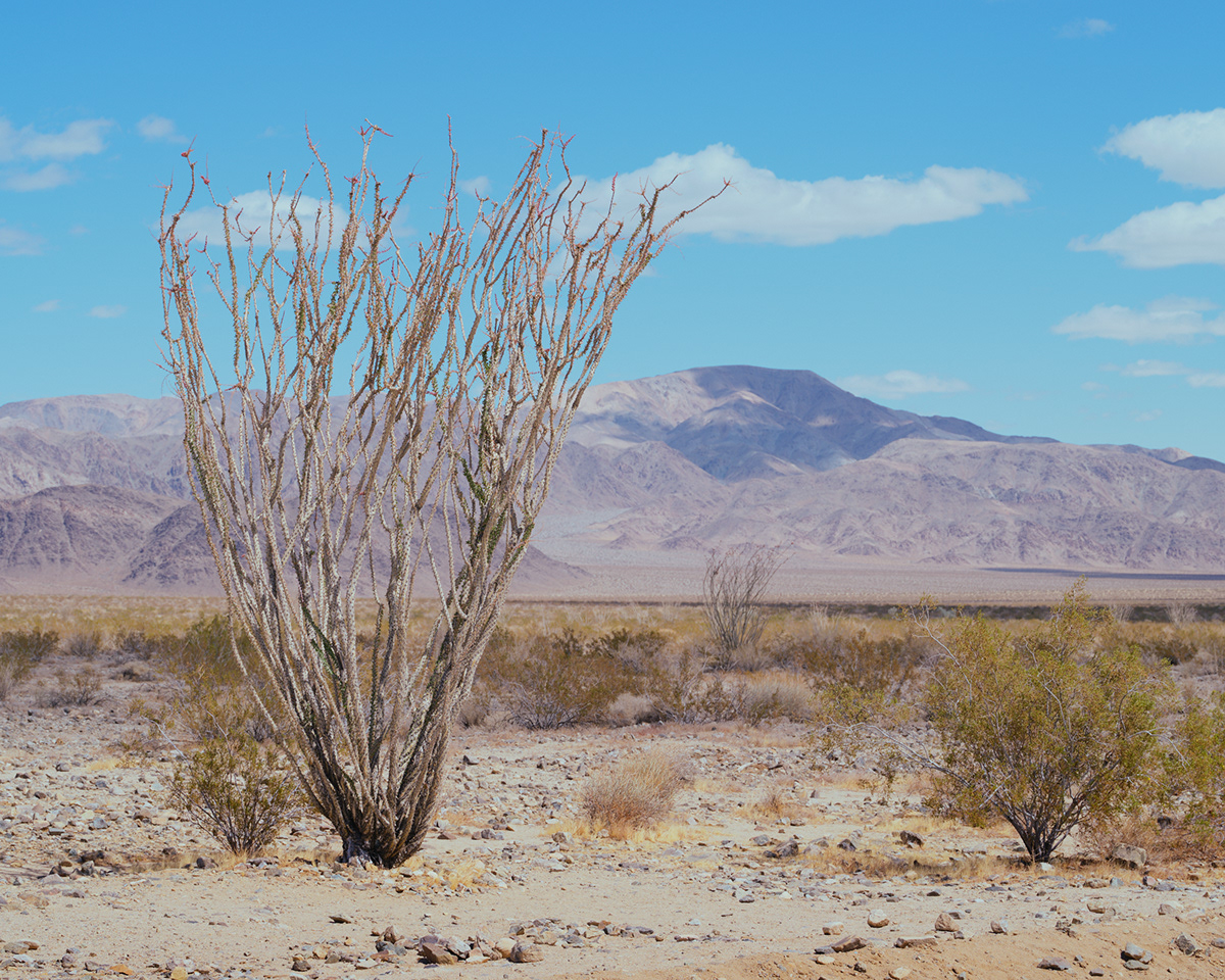 Two Deserts - à la frontière du désert Mojave et du désert du Colorado par Zac Henderson Two Deserts a la frontiere du desert Mojave et du desert du Colorado par Zac Henderson 6 Two-Deserts-a-la-frontiere-du-desert-Mojave-et-du-desert-du-Colorado-par-Zac-Henderson-6
