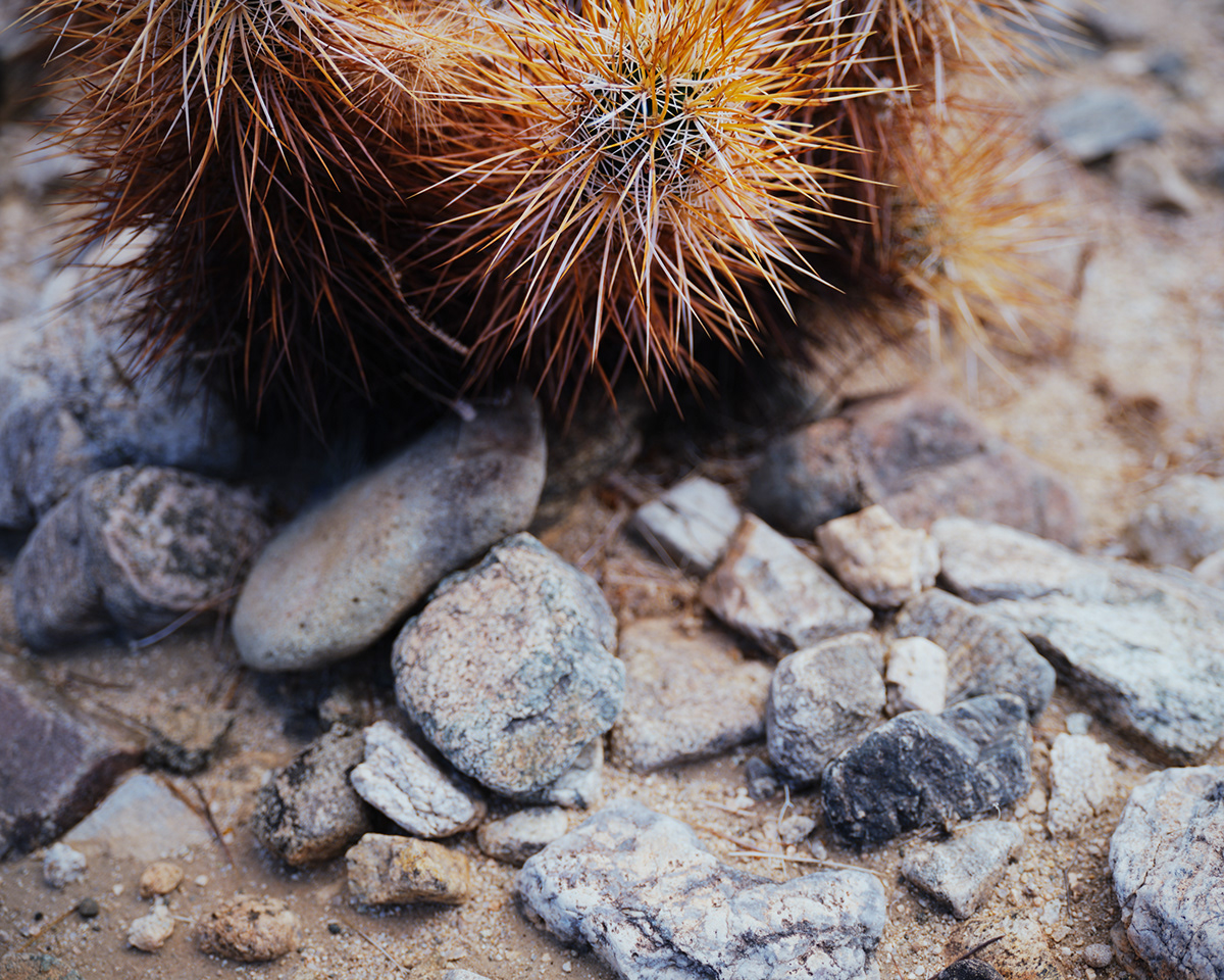 Two Deserts - à la frontière du désert Mojave et du désert du Colorado par Zac Henderson Two Deserts a la frontiere du desert Mojave et du desert du Colorado par Zac Henderson 8 Two-Deserts-a-la-frontiere-du-desert-Mojave-et-du-desert-du-Colorado-par-Zac-Henderson-8
