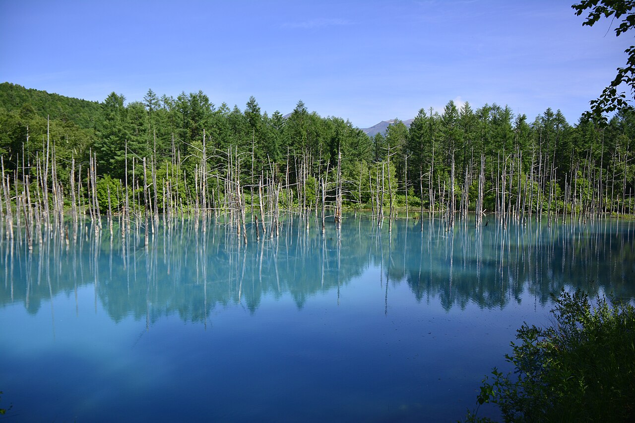 Aoi Ike, l’étang bleu de Shirogane à Biei sur l’île d’Hokkaido Aoi Ike, l’étang bleu de Shirogane à Biei sur l’île d’Hokkaido