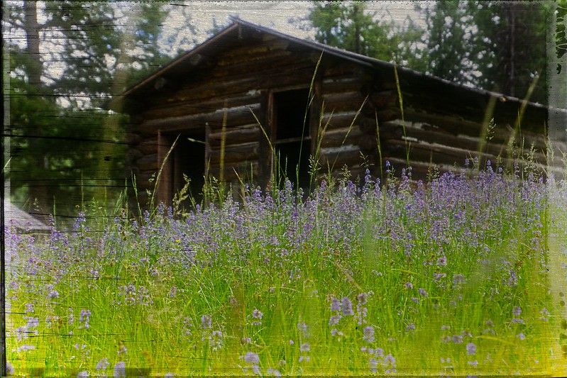 Garnet, ville fantôme de la ruée vers l'or Garnet ville fantome de la ruee vers l or montana 20 Garnet-ville-fantome-de-la-ruee-vers-l-or-montana-20