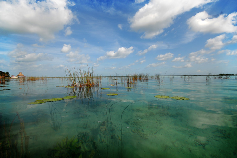 La lagune aux 7 couleurs de Bacalar La lagune aux 7 couleurs de Bacalar yucatan mexique 12 La-lagune-aux-7-couleurs-de-Bacalar-yucatan-mexique-12