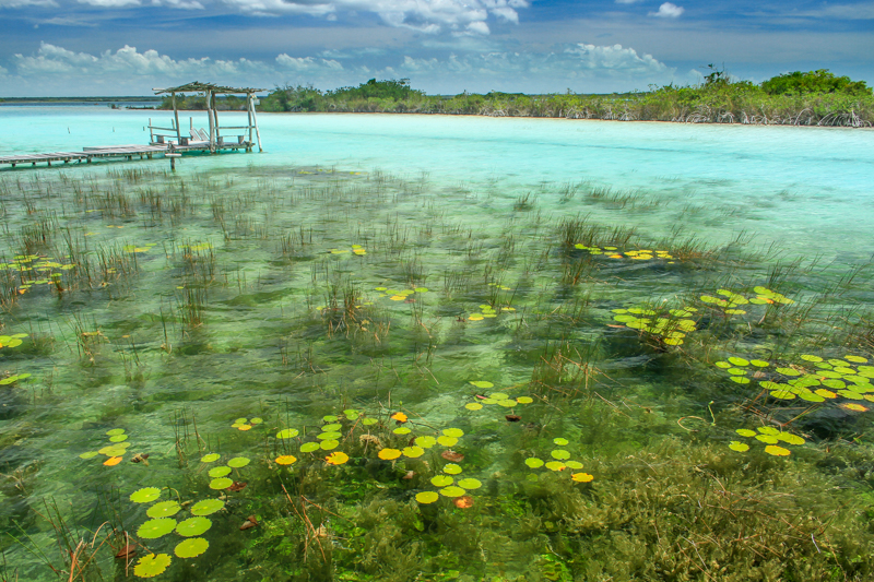 La lagune aux 7 couleurs de Bacalar La lagune aux 7 couleurs de Bacalar yucatan mexique 7 La-lagune-aux-7-couleurs-de-Bacalar-yucatan-mexique-7