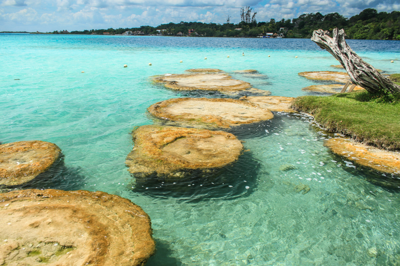La lagune aux 7 couleurs de Bacalar La lagune aux 7 couleurs de Bacalar yucatan mexique 8 La-lagune-aux-7-couleurs-de-Bacalar-yucatan-mexique-8