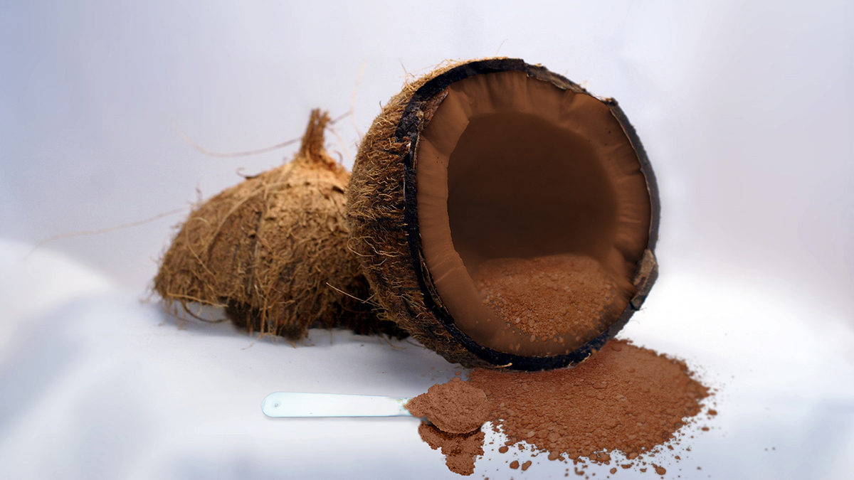 Les fruits bizarres et tordus de Ben Chelouche Les fruits bizarres et tordus de Ben Chelouche photoshop 10 noix de coco Les-fruits-bizarres-et-tordus-de-Ben-Chelouche-photoshop-10-noix-de-coco