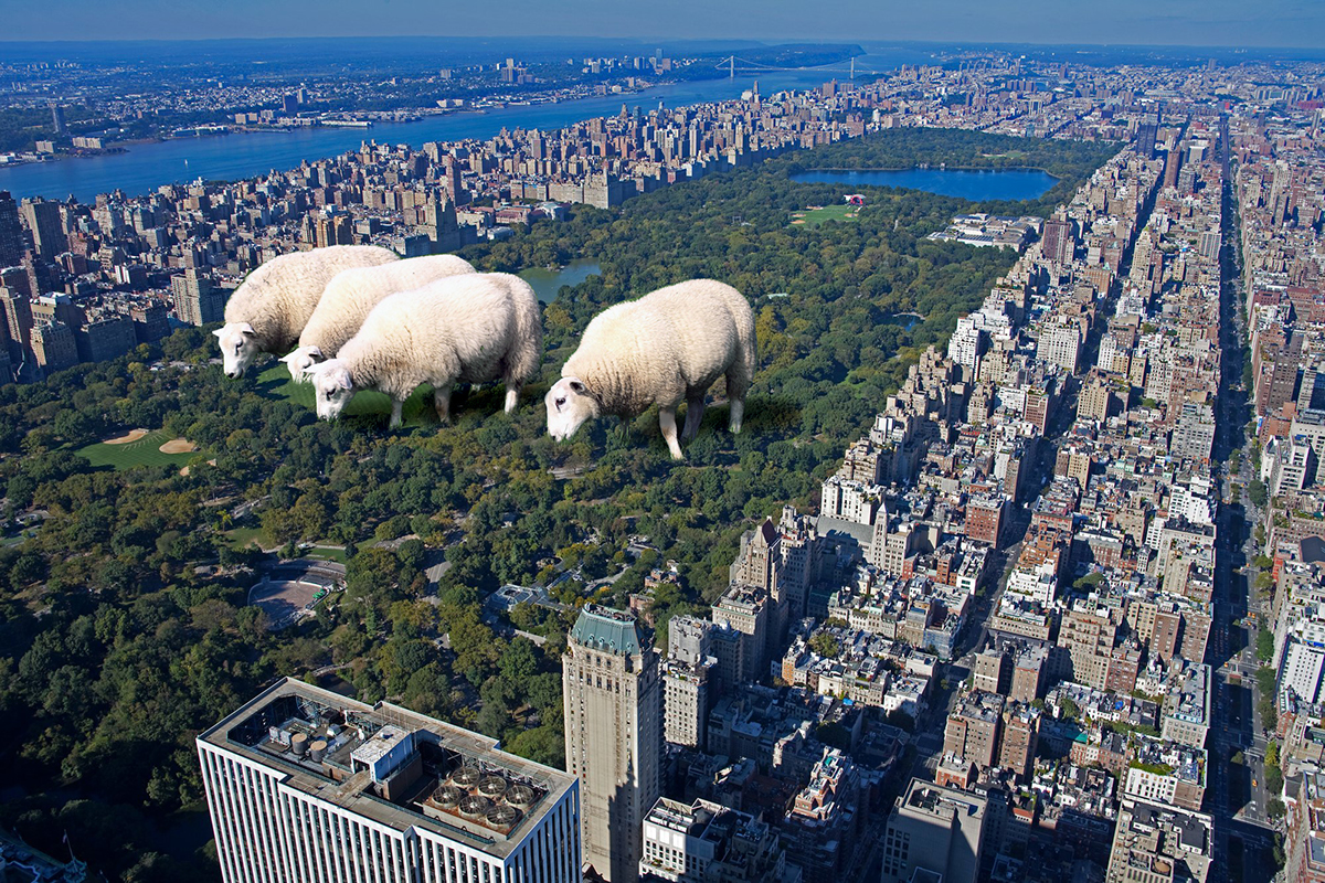 Les images et collages surréalistes de Semih İĞCİ Les images et collages surrealistes de Semih Igci moutons geants central park Les-images-et-collages-surrealistes-de-Semih-İgci-moutons-geants-central-park