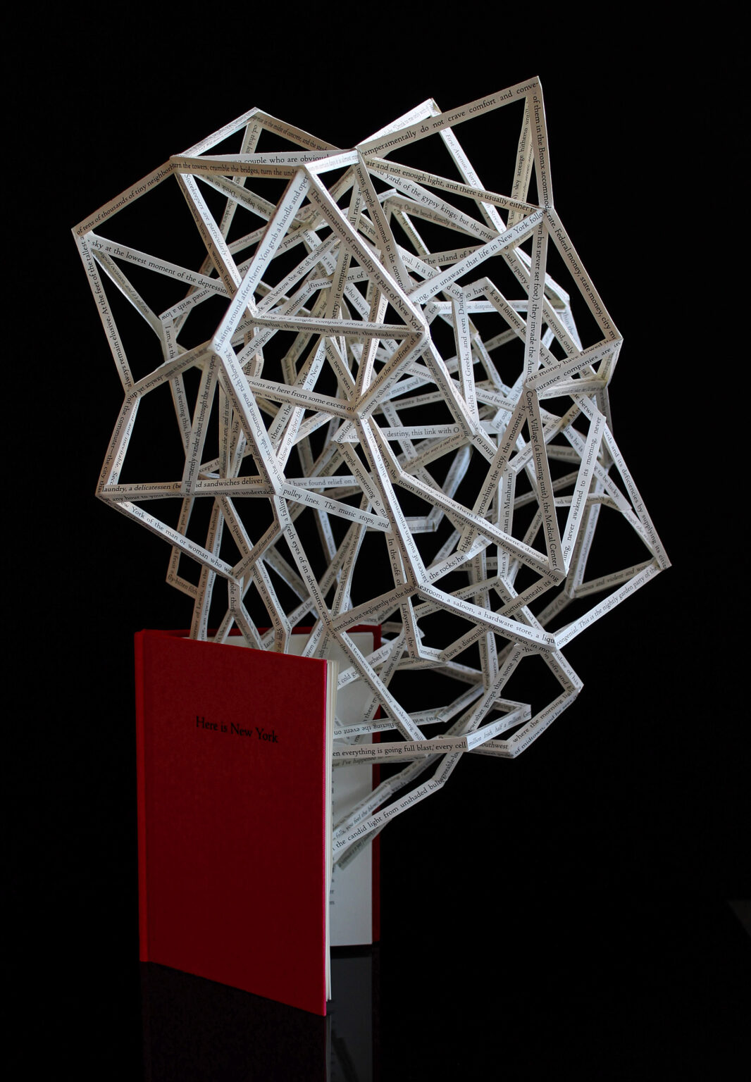 Les poétiques sculptures de livres de Stephen Doyle Les poetiques sculptures de livres de Stephen Doyle 4 Les-poetiques-sculptures-de-livres-de-Stephen-Doyle-4