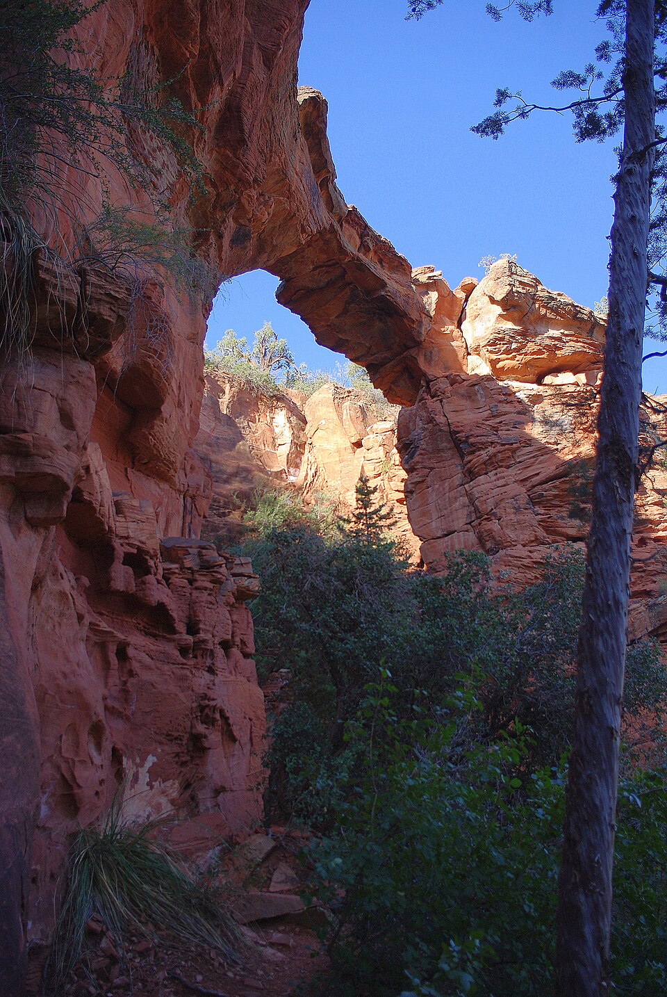 Vue latérale de l'arche naturelle Devil's Bridge près de Sedona Vue latérale de l'arche naturelle Devil's Bridge près de Sedona