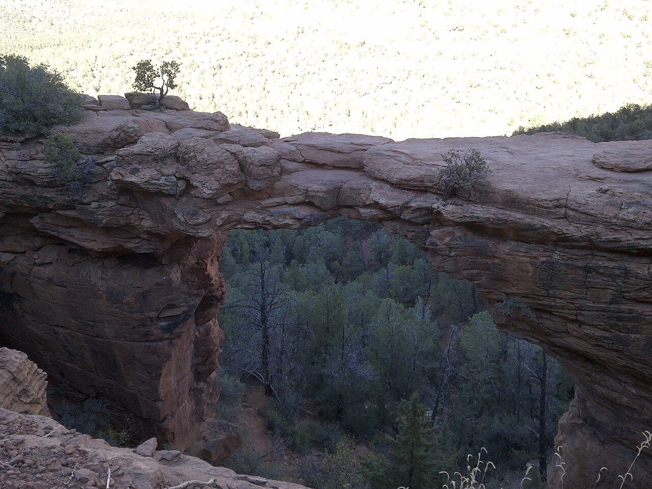 Sentier Devil's Bridge dans les roches rouges de Sedona en Arizona Sentier Devil's Bridge dans les roches rouges de Sedona en Arizona