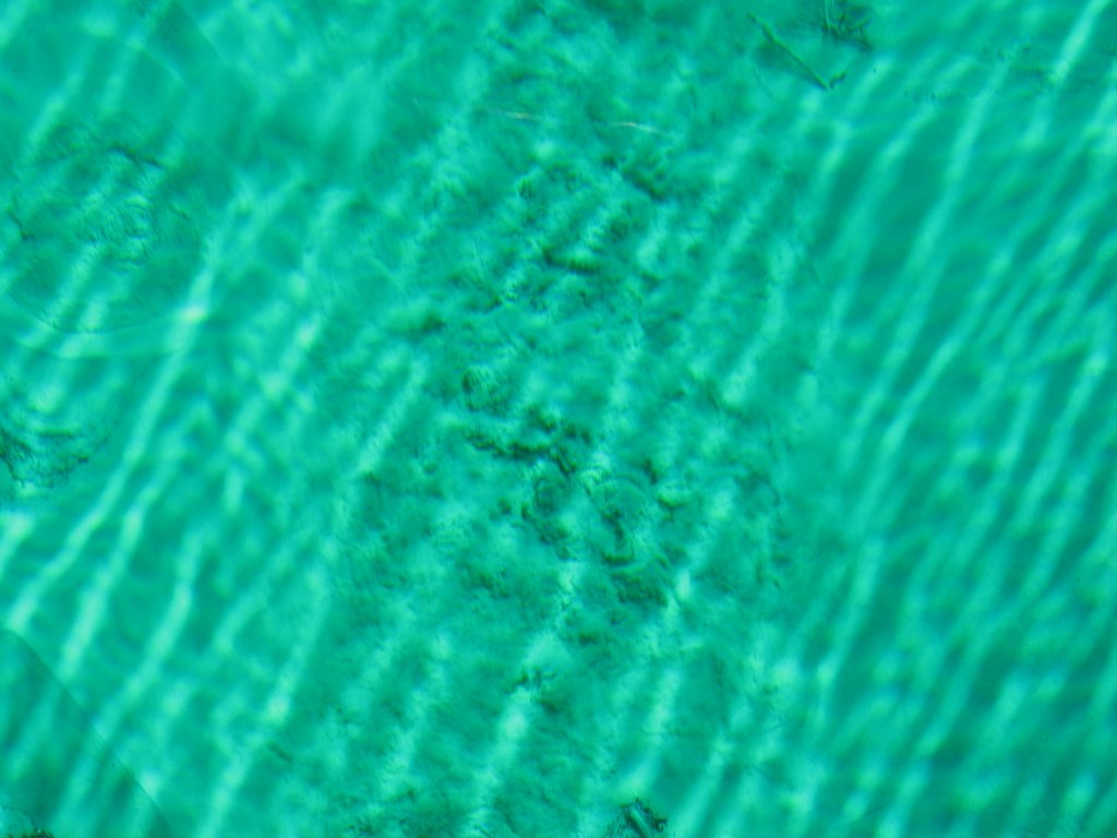 Sable soulevé par les arrivées d'eau au fond de Kitch-iti-kipi Sable soulevé par les arrivées d'eau au fond de Kitch-iti-kipi